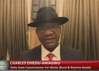 Delta opposition confounded by Oborevwori’s performance – Aniagwu