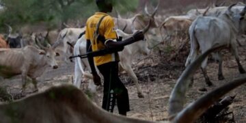 Armed Herdsmen Wreck Havoc on Benue Community, Killing Scores, Setting Houses Ablaze